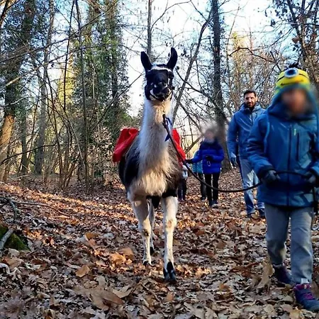 Bilocale Con Giardino A Due Passi Dal Apartmán Oleggio Castello